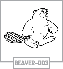 BEAVER-003