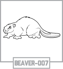 BEAVER-007