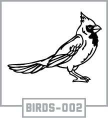 BIRDS-002