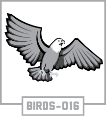 BIRDS-016