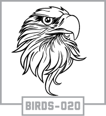 BIRDS-020
