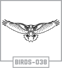 BIRDS-038