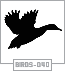 BIRDS-040