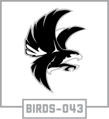 BIRDS-043