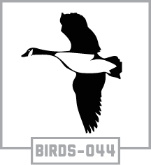 BIRDS-044