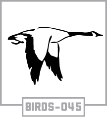 BIRDS-045
