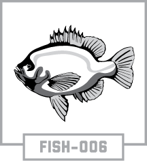 FISH-006