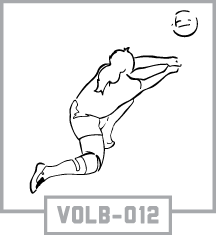 VOLB-012